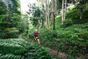 BIB: 
                            <button type="button" onclick="openModal(26408698)" class="btn btn-primary btn-sm float-right btn-popup" data-toggle="modal" data-target=".modal-high-quality">
                        <i class="fas fa-shopping-cart"></i> Add to Cart
                    </button>
                                            <button type="button" onclick="isThisMe(26408698, true)" class="btn btn-success btn-sm float-right btn-popup btn-isme hidden" data-toggle="tooltip" data-placement="bottom" title="นี่คือรูปของคุณใช่ไหม คลิกที่นี่เพื่อเอาเข้าอัลบั้ม">
                        <i class="fas fa-plus"></i> Add to album
                    </button>
                    <button type="button" onclick="isThisMe(26408698, false)" class="btn btn-warning btn-sm float-right btn-popup btn-isnotme hidden">
                        <i class="fas fa-ban"></i> Remove from album
                    </button>